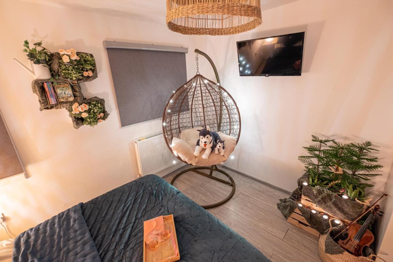 Forest Work & Relax Accommodation Overstone Экстерьер фото